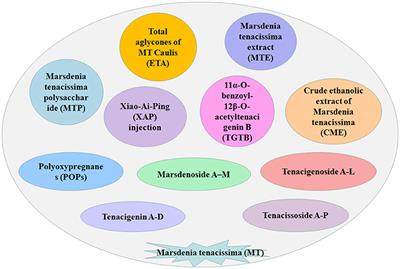 The Antitumor Activities of Marsdenia tenacissima